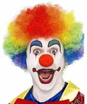 Regenboog clown pruik voor volwassenen